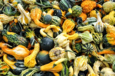 Illustration heaping - Image 2