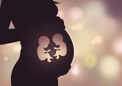 Illustration twin - Image 1