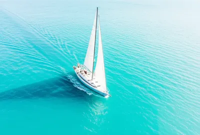 Illustration cruising - Image 1