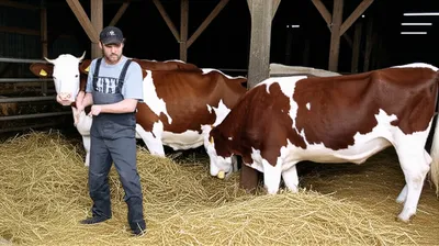 Illustration litter - Image 1