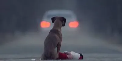 Illustration behind - Image 2