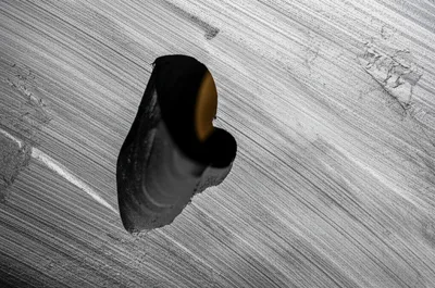 Illustration blowhole - Image 1