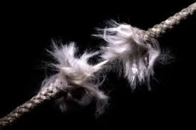 Illustration fray - Image 2