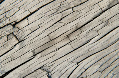 Illustration checked - Image 1