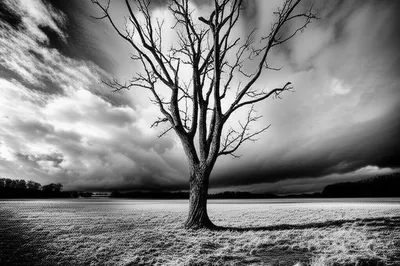 Illustration monochrome