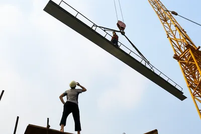 Illustration craned - Image 1