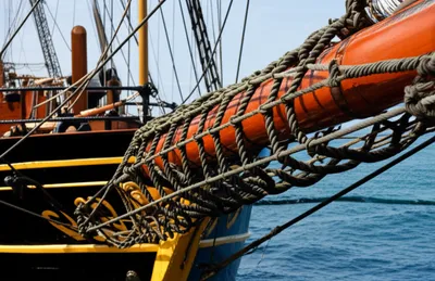 Illustration gammoning - Image 1