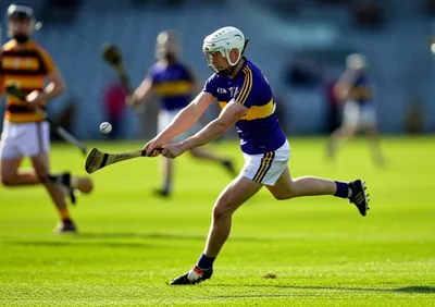 Illustration hurls - Image 1