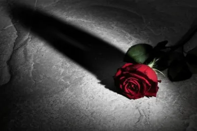 Illustration silences - Image 1