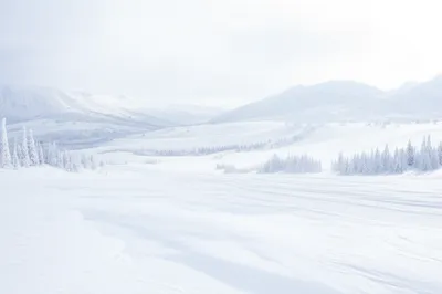 Illustration argent - Image 1