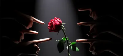 Illustration critics - Image 1