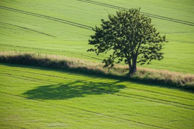 Illustration nook - Image 1