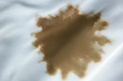 Illustration crap - Image 1