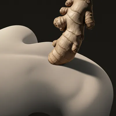 Illustration figged - Image 1