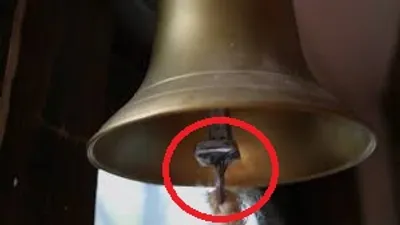 Illustration tongue - Image 3