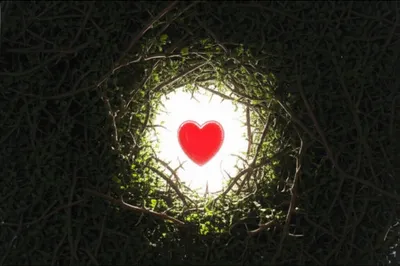 Illustration piercing - Image 1