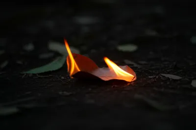 Illustration lights - Image 1