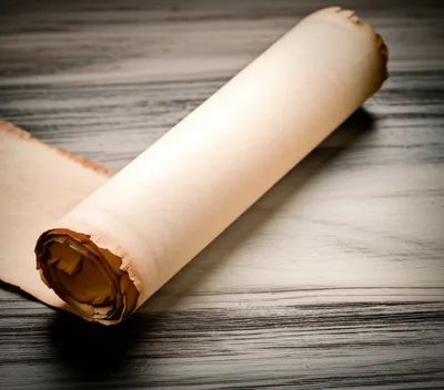 Illustration back - Image 1