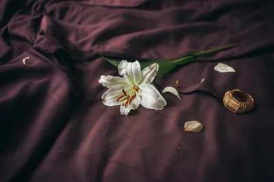 Illustration unchaste