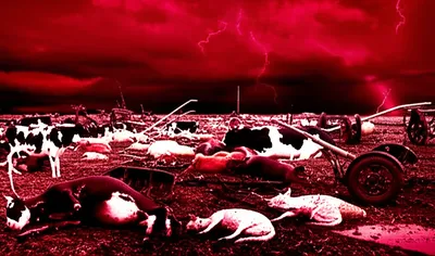 Illustration slaughtered - Image 1