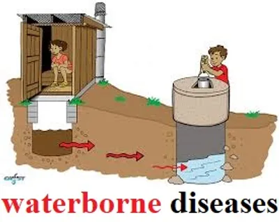 Illustration borne - Image 2