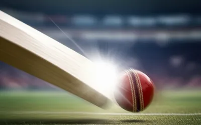 Illustration meat - Image 1