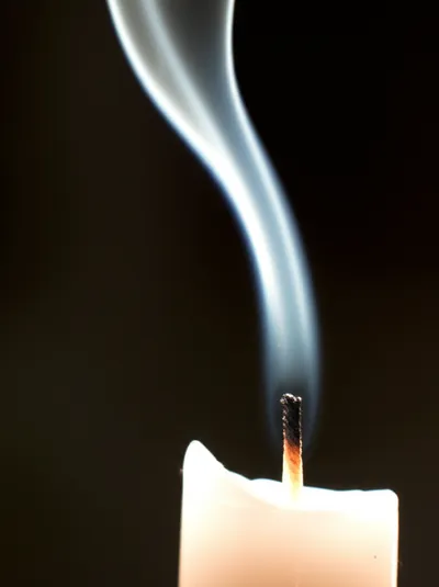 Illustration catches - Image 1