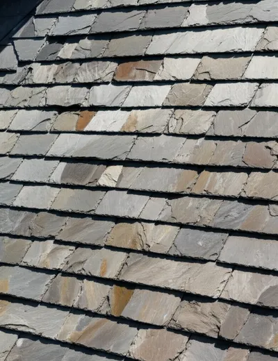 Illustration bare - Image 1