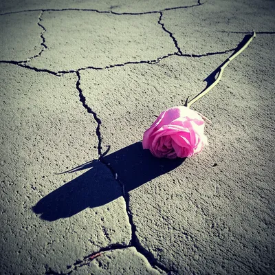 Illustration pity - Image 1