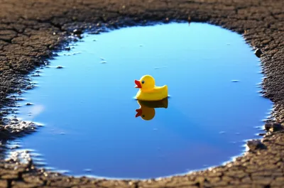 Illustration shallowest - Image 1