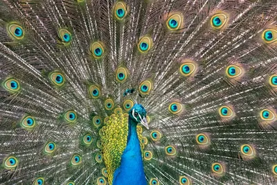 Illustration displaying