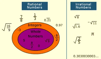 Illustration rational - Image 2