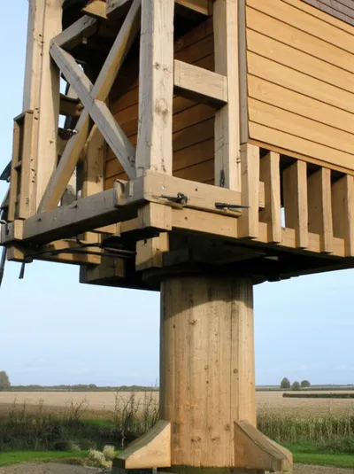 Illustration buck - Image 1