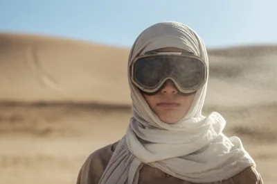 Illustration blinkers - Image 1