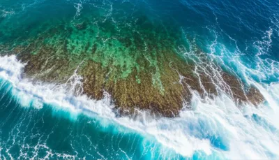 Illustration boilers - Image 1