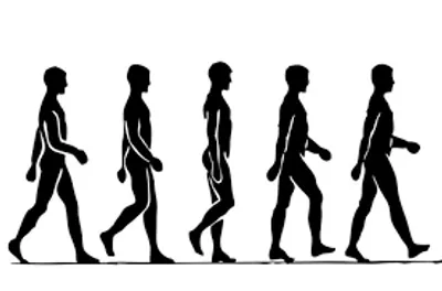 Illustration gait - Image 2