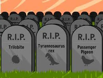 Hình ảnh minh họa extinct - Ảnh 3