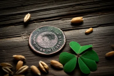 Illustration wrap - Image 1