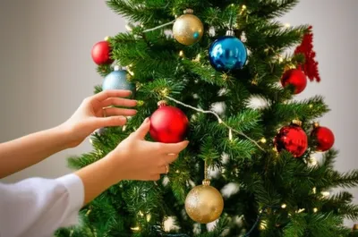 Illustration ornaments - Image 1