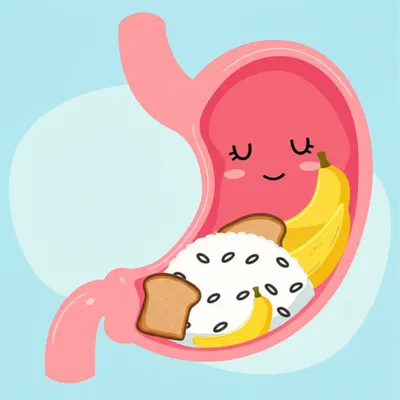 Illustration binding - Image 1