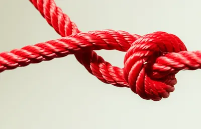 Illustration tying - Image 1