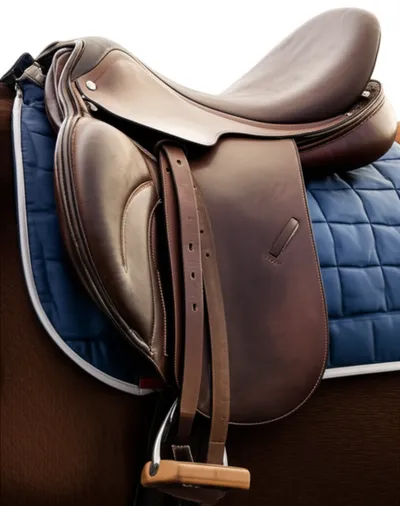 Illustration gullet - Image 1