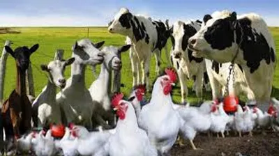 Illustration thrifty - Image 2