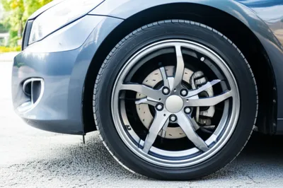 Illustration guard - Image 1