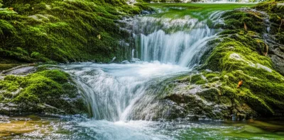 Illustration ern - Image 1