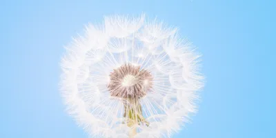 Illustration painlessly