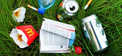 Illustration litters - Image 1