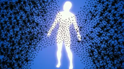 Hình ảnh minh họa immunities - Ảnh 1