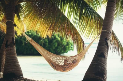 Illustration hammocks - Image 1