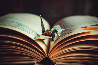 Illustration embedding - Image 1